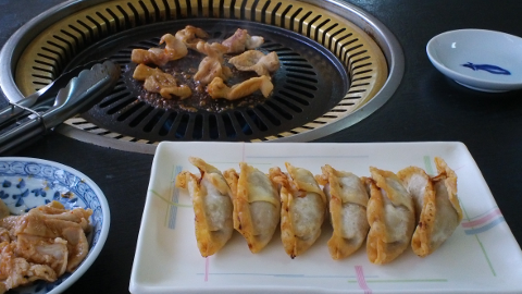 JA上野村焼き肉センター 豚のホルモンと猪豚の揚げ餃子