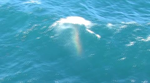いしかりが作った波のしぶきでできた虹