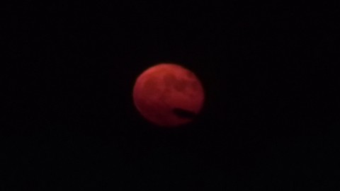水平線から上がった直後の不気味なほどに赤黒い月